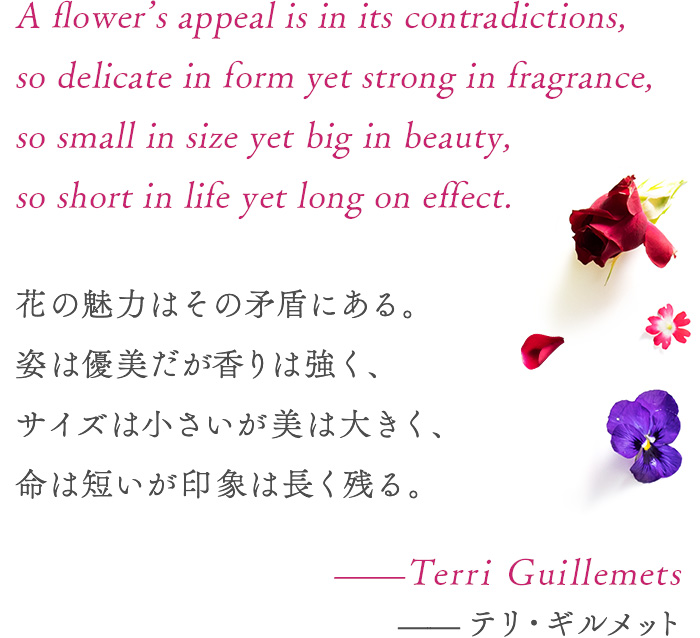 A flower’s appeal is in its contradictions, so delicate in form yet strong in fragrance, so
                    small in size yet big in beauty, so short in life yet long on
                    effect.　Terri Guillemets 花の魅力はその矛盾にある。姿は優美だが香りは強く、サイズは小さいが美は大きく、命は短いが印象は長く残る。─テリ・ギルメット