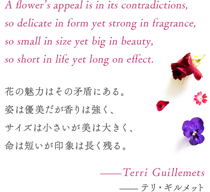 A flower’s appeal is in its contradictions, so delicate in form yet strong in fragrance, so
                    small in size yet big in beauty, so short in life yet long on
                    effect.　Terri Guillemets 花の魅力はその矛盾にある。姿は優美だが香りは強く、サイズは小さいが美は大きく、命は短いが印象は長く残る。─テリ・ギルメット